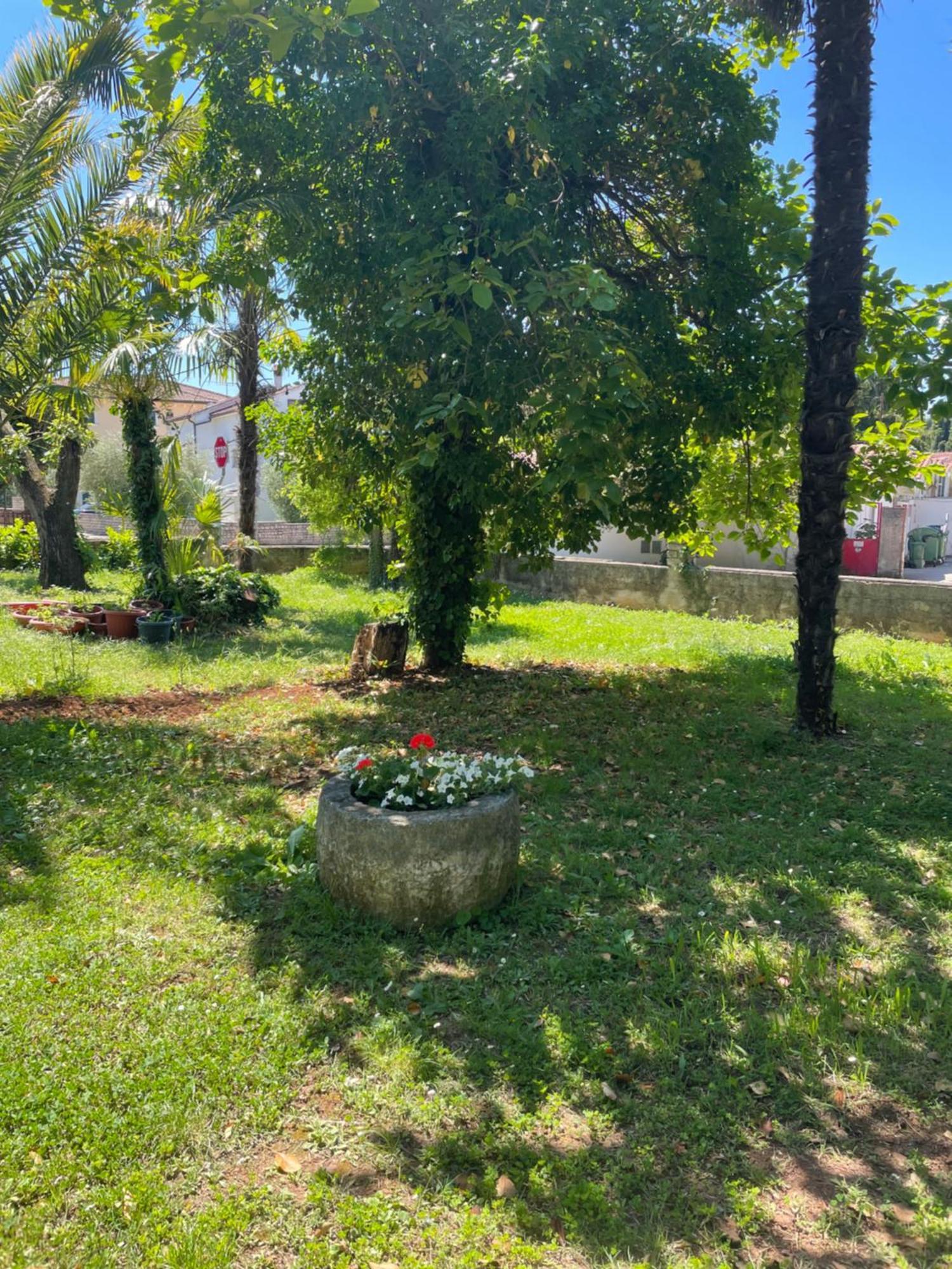 Apartments Bloom Near The Beach Porec Esterno foto